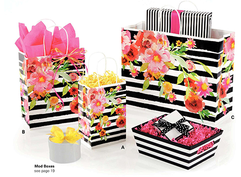 Packaging Solutions